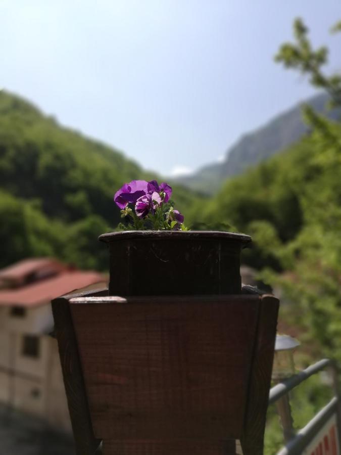 Дом Бакалски-Кмета Narechenski Bani Bagian luar foto
