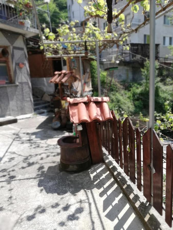 Дом Бакалски-Кмета Narechenski Bani Bagian luar foto