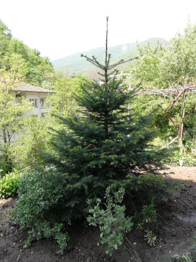 Дом Бакалски-Кмета Narechenski Bani Bagian luar foto
